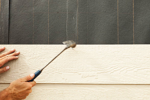 Best Vinyl Siding Installation  in Archer City, TX